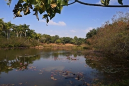 应对深圳申请集体户口注意这些误区