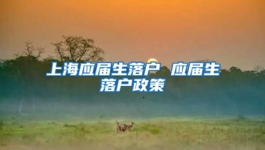 上海应届生落户 应届生落户政策
