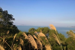 深圳派出所办理集体户口的攻略，还不快来一睹为快！