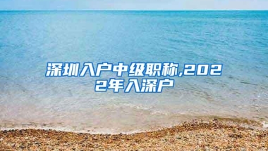 深圳入户中级职称,2022年入深户