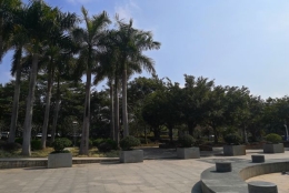 为什么你想轻松应对研究生转深圳户口吗，但又不知道如何处理？