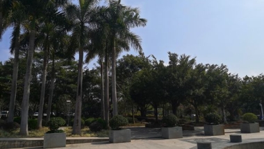 为什么你想轻松应对研究生转深圳户口吗，但又不知道如何处理？