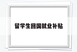 留学生回国就业补贴(留学生回国就业补贴申请)