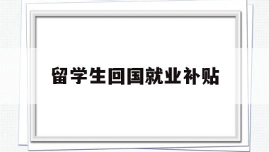 留学生回国就业补贴(留学生回国就业补贴申请)