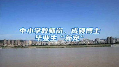 中小学教师岗，成硕博士毕业生“新宠”