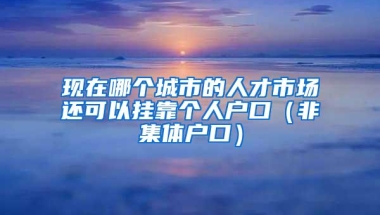 现在哪个城市的人才市场还可以挂靠个人户口（非集体户口）