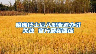 哈佛博士后入职街道办引关注 官方最新回应