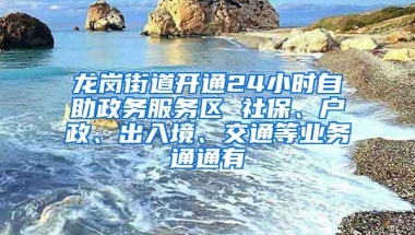 龙岗街道开通24小时自助政务服务区 社保、户政、出入境、交通等业务通通有