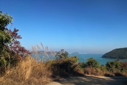 深圳公司申请集体户口的条件问题全指南