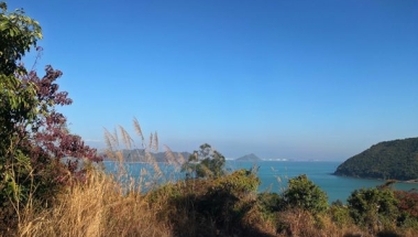 深圳公司申请集体户口的条件问题全指南