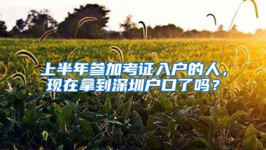 上半年参加考证入户的人，现在拿到深圳户口了吗？