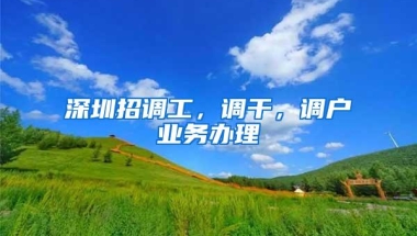 深圳招调工，调干，调户业务办理