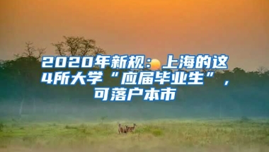 2020年新规：上海的这4所大学“应届毕业生”，可落户本市