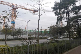 香港研究生落户深圳有烦恼？这些技巧少不了