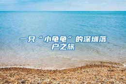 一只“小龟龟”的深圳落户之旅