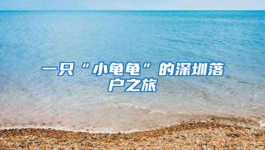 一只“小龟龟”的深圳落户之旅