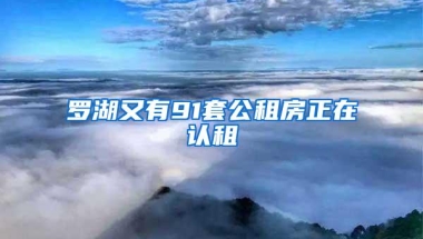 罗湖又有91套公租房正在认租