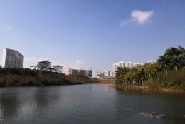 如何用深圳入户的初级职称？