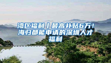 湾区福利丨最高补贴6万！海归都能申请的深圳人才福利