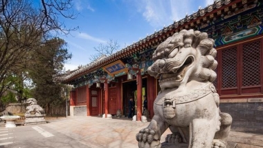 北京大学博士就职首都985高校，因住房问题去深圳双非任教，值吗