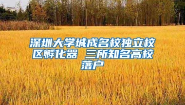 深圳大学城成名校独立校区孵化器 三所知名高校落户