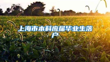 上海市本科应届毕业生落户