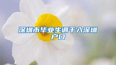 深圳市毕业生调干入深圳户口