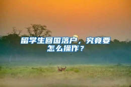 留学生回国落户，究竟要怎么操作？