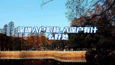 深圳入户职称,入深户有什么好处