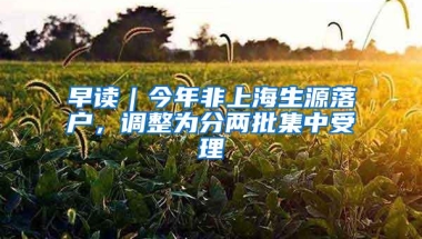 早读｜今年非上海生源落户，调整为分两批集中受理