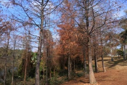 来了！深圳核准入户材料新指南！