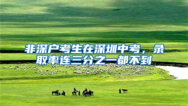 非深户考生在深圳中考，录取率连三分之一都不到