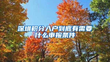深圳积分入户到底有需要什么申报条件