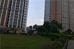 办理攻略：深圳集体户口有什么弊端节省时间和方法的技巧！