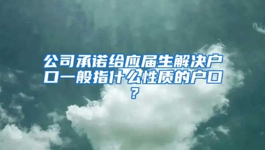 公司承诺给应届生解决户口一般指什么性质的户口？