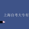 上海自考大专有哪些学校