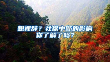 想裸辞？社保中断的影响你了解了吗？