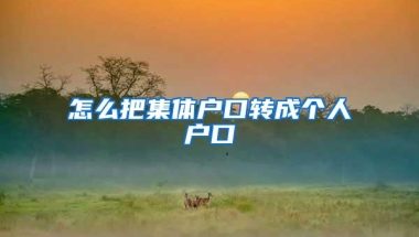 怎么把集体户口转成个人户口