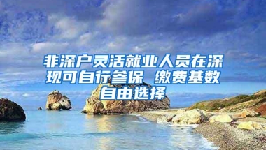非深户灵活就业人员在深现可自行参保 缴费基数自由选择