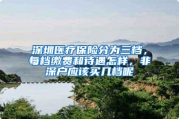 深圳医疗保险分为三档，每档缴费和待遇怎样，非深户应该买几档呢