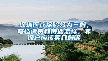 深圳医疗保险分为三档，每档缴费和待遇怎样，非深户应该买几档呢