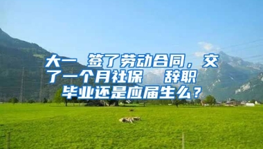 大一 签了劳动合同，交了一个月社保  辞职  毕业还是应届生么？