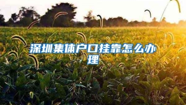 深圳集体户口挂靠怎么办理