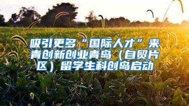吸引更多“国际人才”来青创新创业青岛（自贸片区）留学生科创岛启动