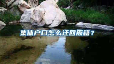 集体户口怎么迁回原籍？
