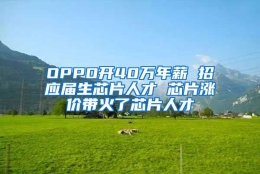 OPPO开40万年薪 招应届生芯片人才 芯片涨价带火了芯片人才