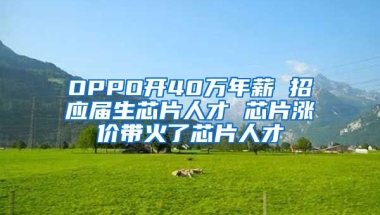 OPPO开40万年薪 招应届生芯片人才 芯片涨价带火了芯片人才