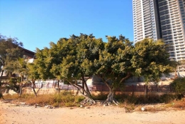 三分钟读懂深圳集体户口的户口本