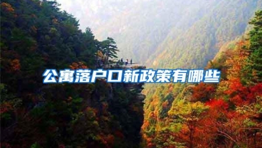 公寓落户口新政策有哪些