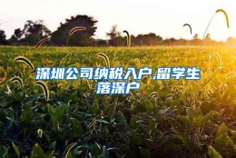 深圳公司纳税入户,留学生落深户